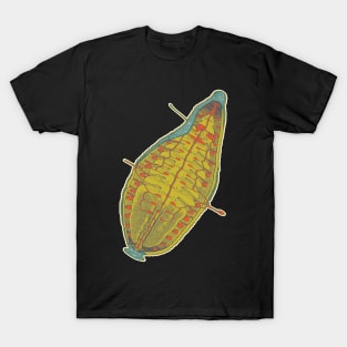 Hirudo Medicinalis, European Medical Leeches T-Shirt